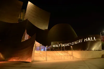 DSC_0618 (Large).JPG